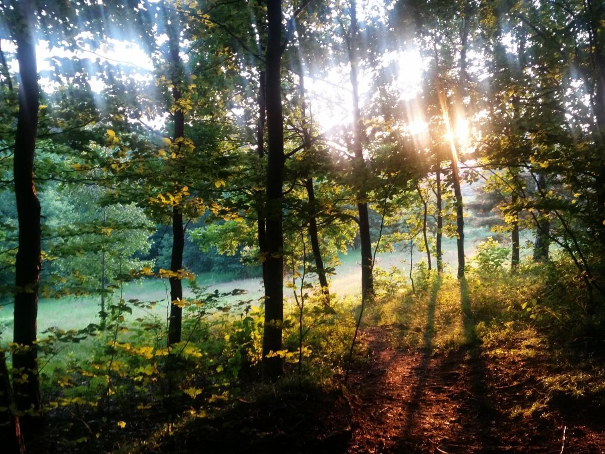 Bialy Domek Daire Wisła Dış mekan fotoğraf