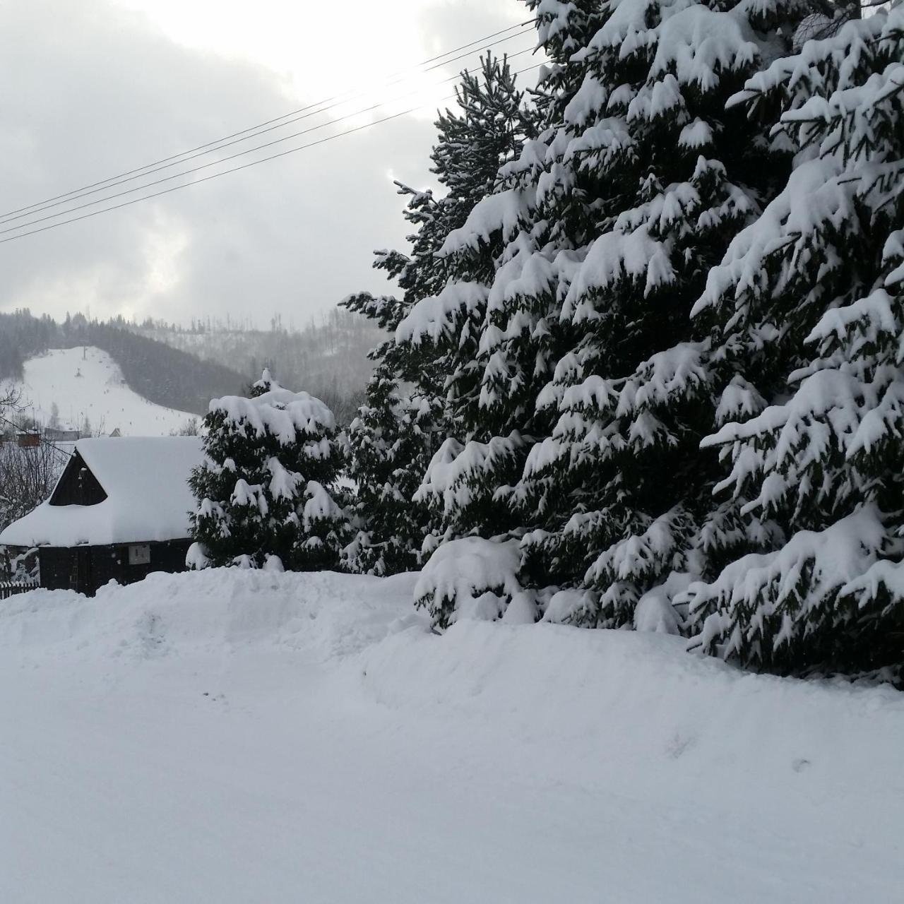 Bialy Domek Daire Wisła Dış mekan fotoğraf